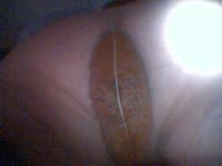 home poo fun